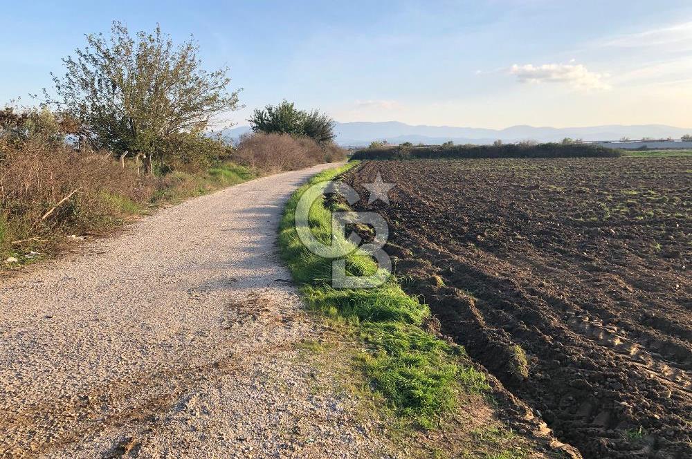 ARIKBAŞI DA SATILIK İMARA YAKIN YATIRIMLIK TARLA