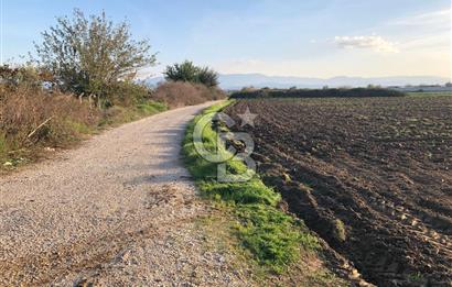 ARIKBAŞI DA SATILIK İMARA YAKIN YATIRIMLIK TARLA