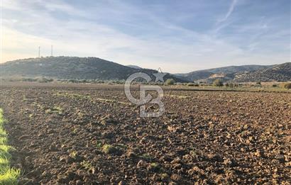 ARIKBAŞI DA SATILIK İMARA YAKIN YATIRIMLIK TARLA