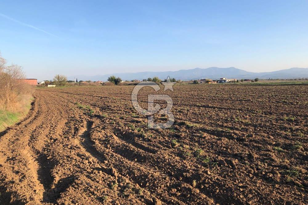 ARIKBAŞI DA SATILIK İMARA YAKIN YATIRIMLIK TARLA