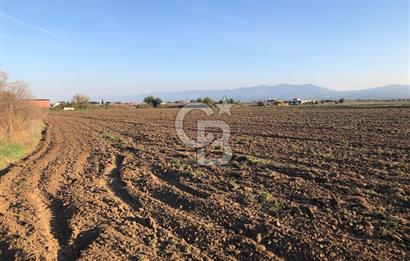 ARIKBAŞI DA SATILIK İMARA YAKIN YATIRIMLIK TARLA