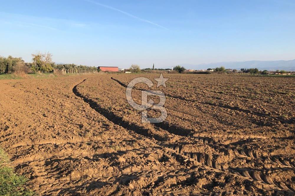 ARIKBAŞI DA SATILIK İMARA YAKIN YATIRIMLIK TARLA