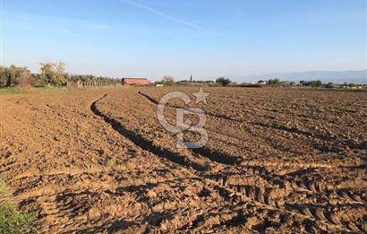 ARIKBAŞI DA SATILIK İMARA YAKIN YATIRIMLIK TARLA