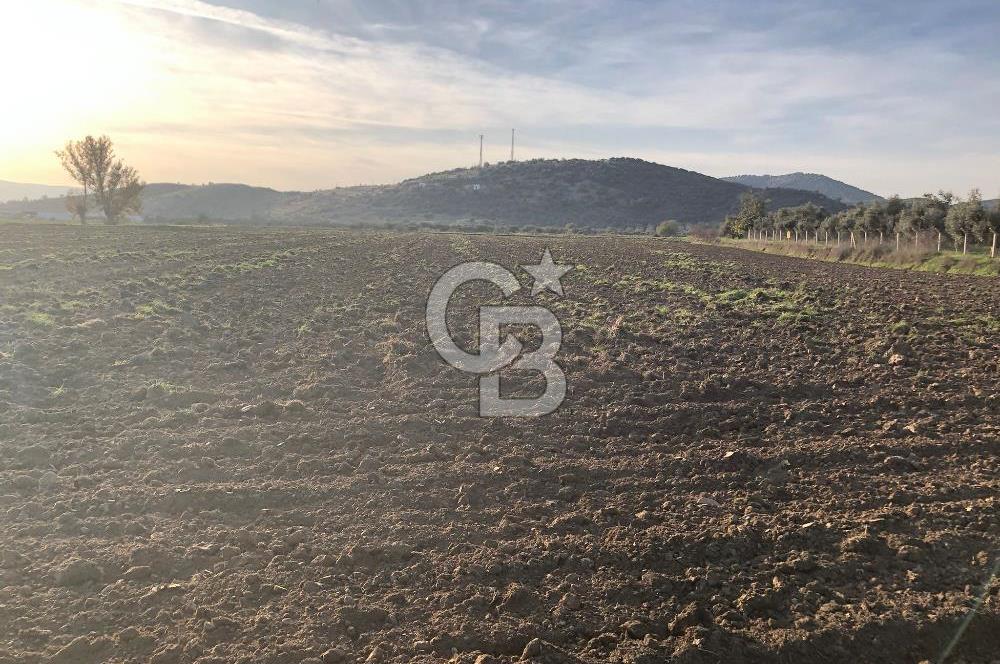 ARIKBAŞI DA SATILIK İMARA YAKIN YATIRIMLIK TARLA