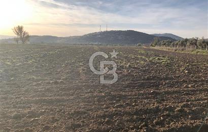 ARIKBAŞI DA SATILIK İMARA YAKIN YATIRIMLIK TARLA