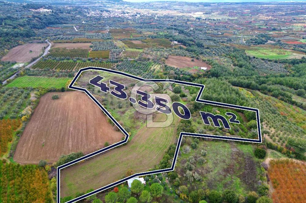 ÇANAKKALE LAPSEKİ UMURBEY'DE 43.350m2 TARLA