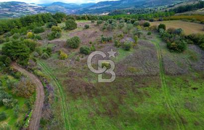 ÇANAKKALE LAPSEKİ UMURBEY'DE 43.350m2 TARLA