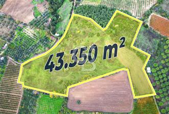 ÇANAKKALE LAPSEKİ UMURBEY'DE 43.350m2 TARLA - 2 - 315670