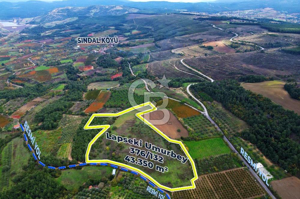 ÇANAKKALE LAPSEKİ UMURBEY'DE 43.350m2 TARLA