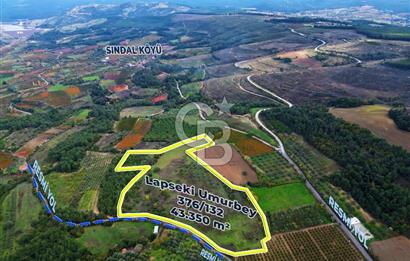 ÇANAKKALE LAPSEKİ UMURBEY'DE 43.350m2 TARLA