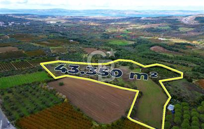 ÇANAKKALE LAPSEKİ UMURBEY'DE 43.350m2 TARLA
