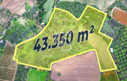ÇANAKKALE LAPSEKİ UMURBEY'DE 43.350m2 TARLA