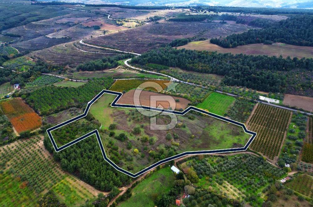 ÇANAKKALE LAPSEKİ UMURBEY'DE 43.350m2 TARLA