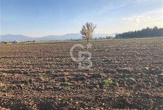 ARIKBAŞI DA SATILIK İMARA YAKIN YATIRIMLIK TARLA - 1 - 315123