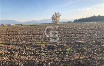 ARIKBAŞI DA SATILIK İMARA YAKIN YATIRIMLIK TARLA