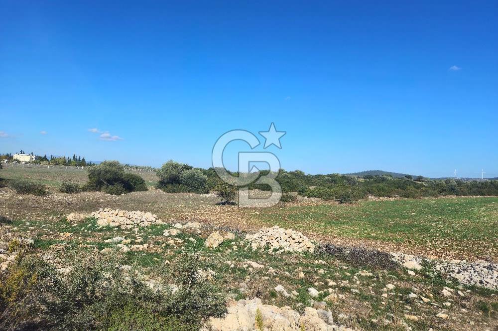 DİDİM SATILIK TARLA 109.000.000 TL DENİZ KÖY MAH