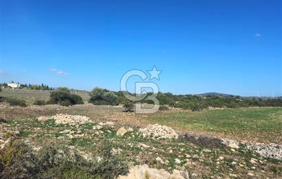 DİDİM SATILIK TARLA 109.000.000 TL DENİZ KÖY MAH