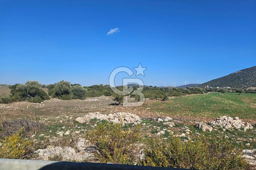 DİDİM SATILIK TARLA 109.000.000 TL DENİZ KÖY MAH