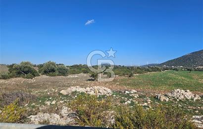 DİDİM SATILIK TARLA 109.000.000 TL DENİZ KÖY MAH