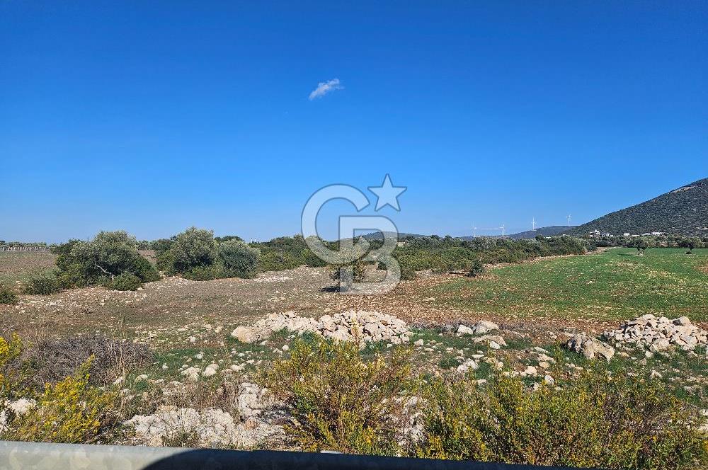 DİDİM SATILIK TARLA 109.000.000 TL DENİZ KÖY MAH