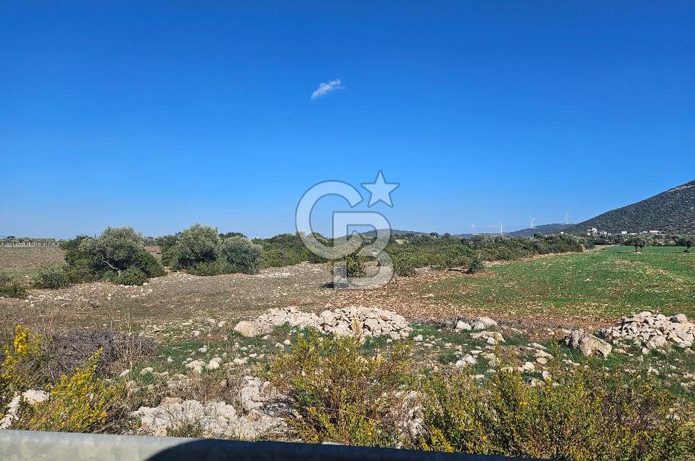 DİDİM SATILIK TARLA 109.000.000 TL DENİZ KÖY MAH