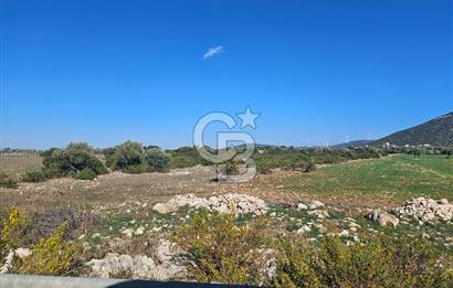 DİDİM SATILIK TARLA 109.000.000 TL DENİZ KÖY MAH