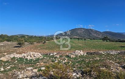 DİDİM SATILIK TARLA 109.000.000 TL DENİZ KÖY MAH