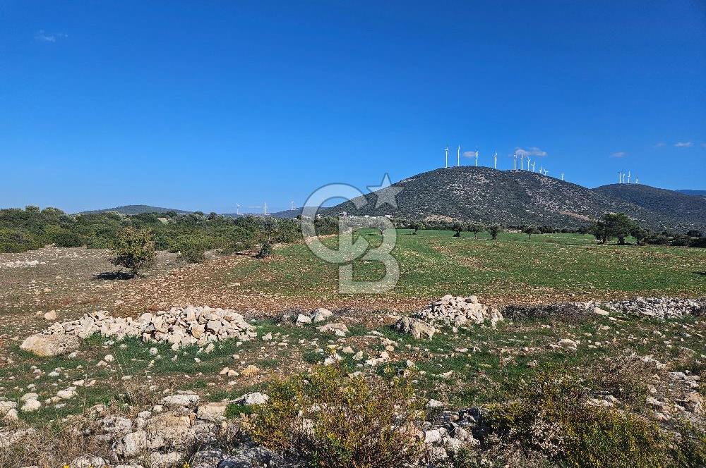 DİDİM SATILIK TARLA 109.000.000 TL DENİZ KÖY MAH