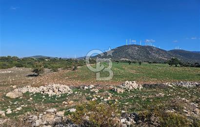 DİDİM SATILIK TARLA 109.000.000 TL DENİZ KÖY MAH