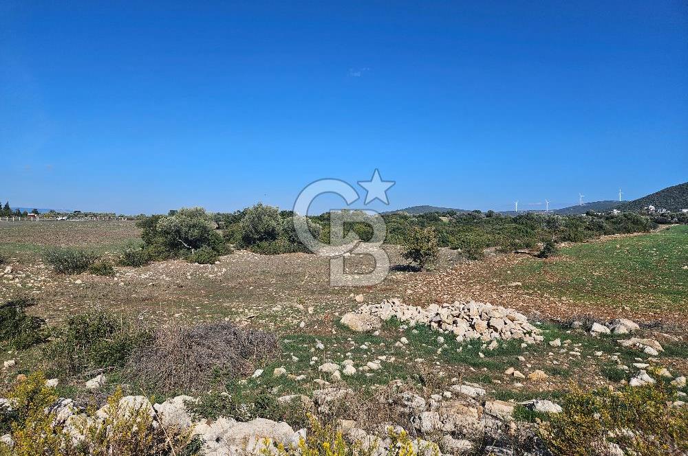 DİDİM SATILIK TARLA 109.000.000 TL DENİZ KÖY MAH