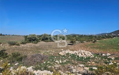 DİDİM SATILIK TARLA 109.000.000 TL DENİZ KÖY MAH