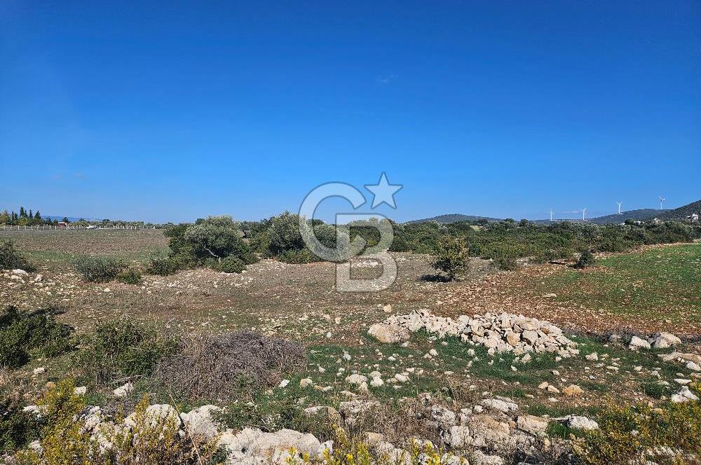 DİDİM SATILIK TARLA 109.000.000 TL DENİZ KÖY MAH