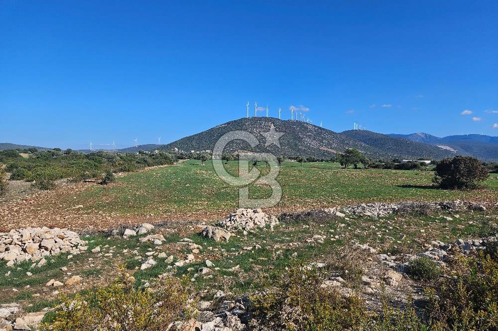 DİDİM SATILIK TARLA 109.000.000 TL DENİZ KÖY MAH