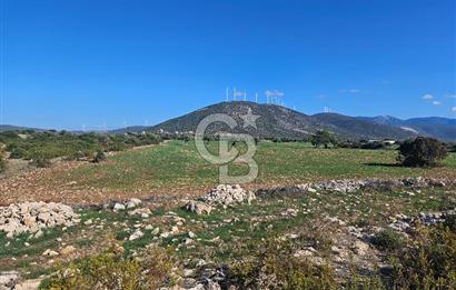 DİDİM SATILIK TARLA 109.000.000 TL DENİZ KÖY MAH