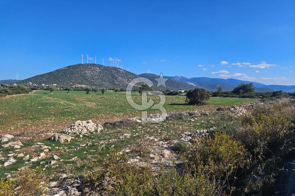 DİDİM SATILIK TARLA 109.000.000 TL DENİZ KÖY MAH