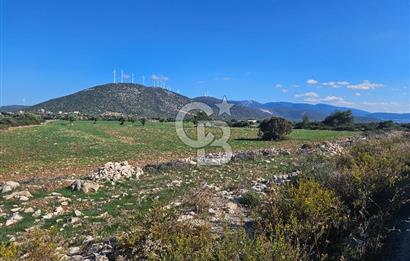 DİDİM SATILIK TARLA 109.000.000 TL DENİZ KÖY MAH