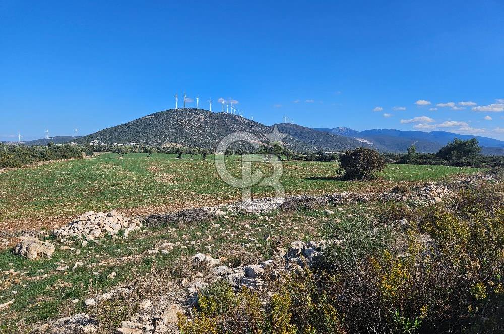 DİDİM SATILIK TARLA 109.000.000 TL DENİZ KÖY MAH