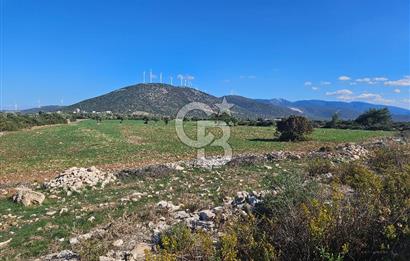 DİDİM SATILIK TARLA 109.000.000 TL DENİZ KÖY MAH