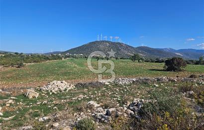 DİDİM SATILIK TARLA 109.000.000 TL DENİZ KÖY MAH