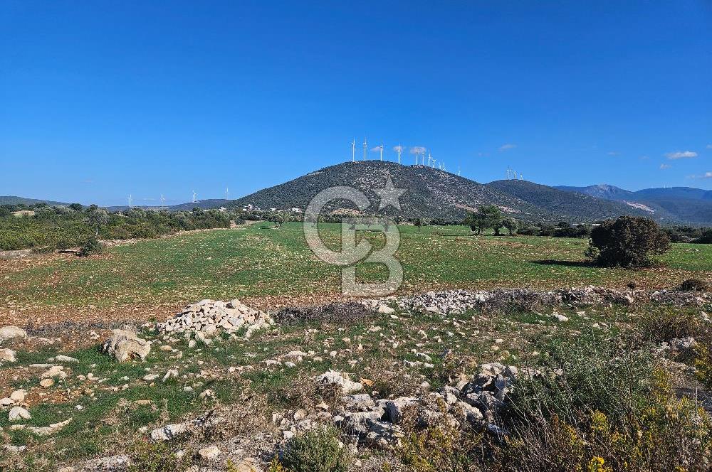 DİDİM SATILIK TARLA 109.000.000 TL DENİZ KÖY MAH