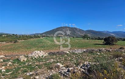 DİDİM SATILIK TARLA 109.000.000 TL DENİZ KÖY MAH