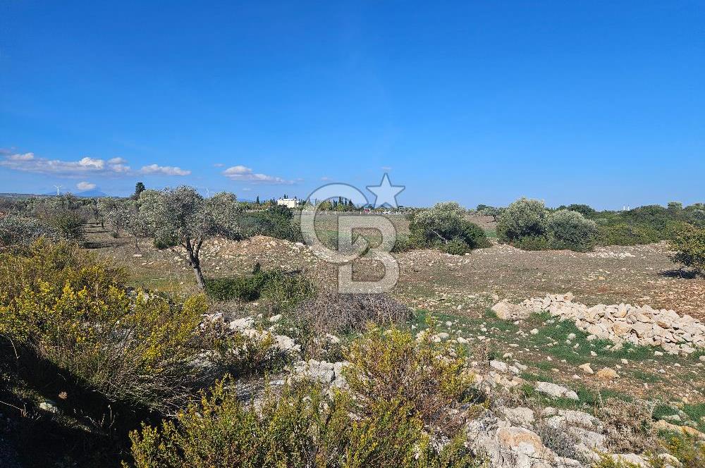 DİDİM SATILIK TARLA 109.000.000 TL DENİZ KÖY MAH