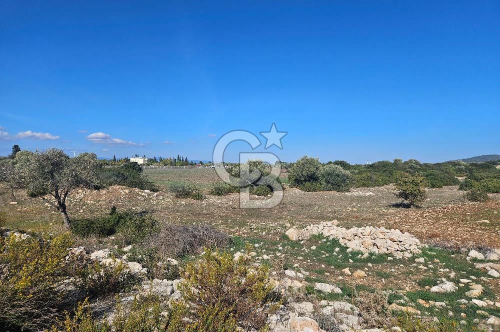 DİDİM SATILIK TARLA 109.000.000 TL DENİZ KÖY MAH