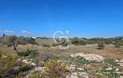 DİDİM SATILIK TARLA 109.000.000 TL DENİZ KÖY MAH