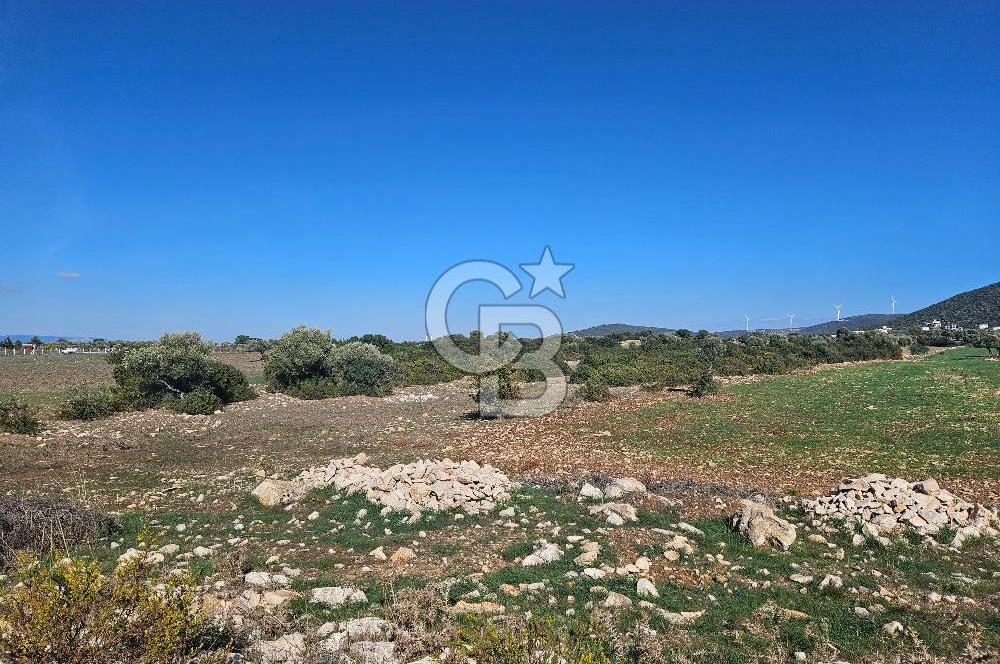 DİDİM SATILIK TARLA 109.000.000 TL DENİZ KÖY MAH