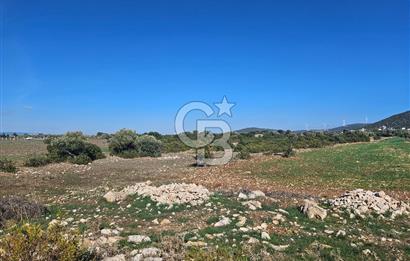 DİDİM SATILIK TARLA 109.000.000 TL DENİZ KÖY MAH