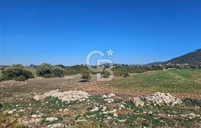 DİDİM SATILIK TARLA 109.000.000 TL DENİZ KÖY MAH