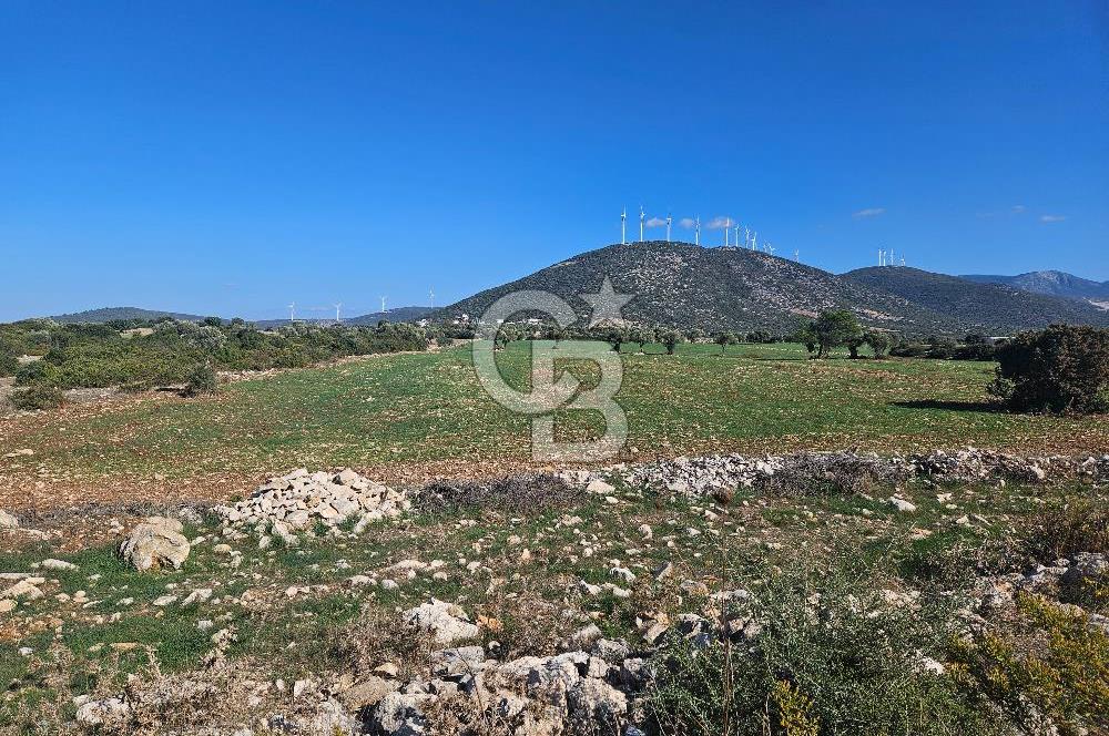 DİDİM SATILIK TARLA 109.000.000 TL DENİZ KÖY MAH