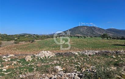 DİDİM SATILIK TARLA 109.000.000 TL DENİZ KÖY MAH