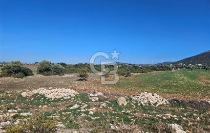 DİDİM SATILIK TARLA 109.000.000 TL DENİZ KÖY MAH